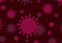 Conheça as formas de transmissão e prevenção do Coronavírus — um vírus misterioso originado da China e de rápida transmissão, que ocorre entre pessoas.