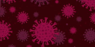 Conheça as formas de transmissão e prevenção do Coronavírus — um vírus misterioso originado da China e de rápida transmissão, que ocorre entre pessoas.